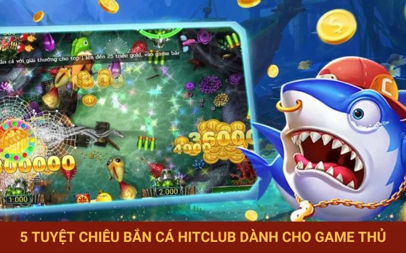 Tổng hợp các chiến thuật săn cá hiệu quả.