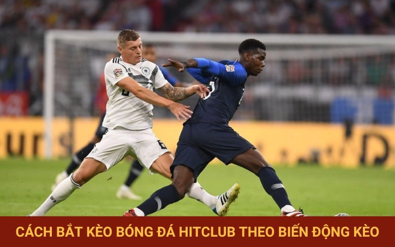 Phán đoán dựa trên biến động tỷ lệ