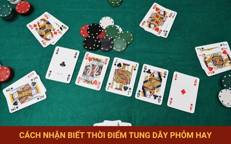 Xác định thời cơ tung dây phỏm chính xác