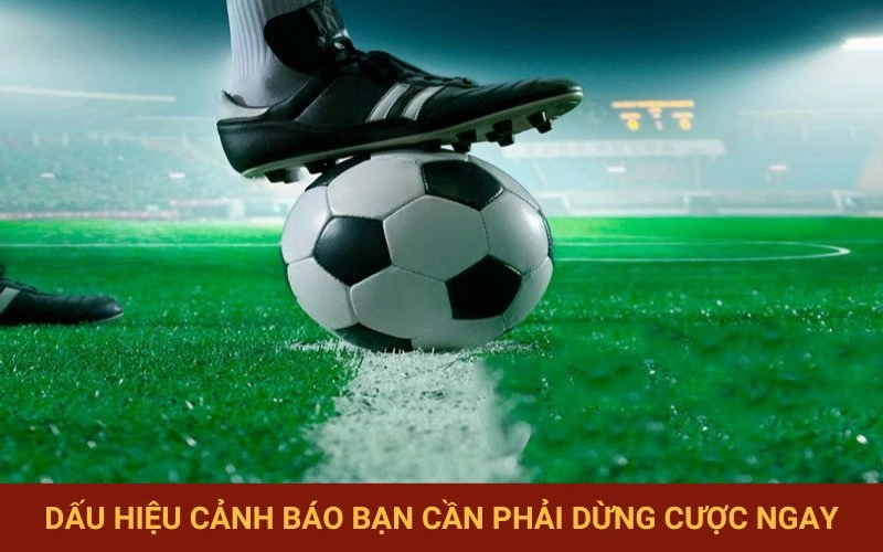 Nhận diện những tín hiệu dừng cược kịp thời