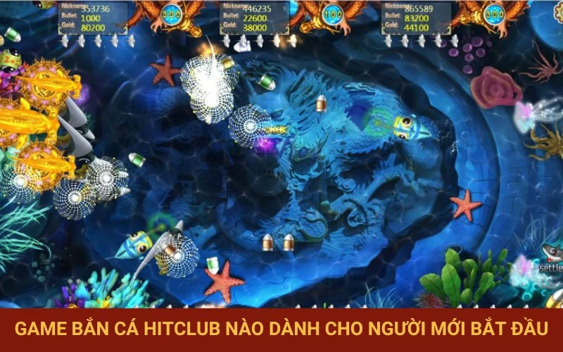 Lựa chọn sảnh game phù hợp tân binh