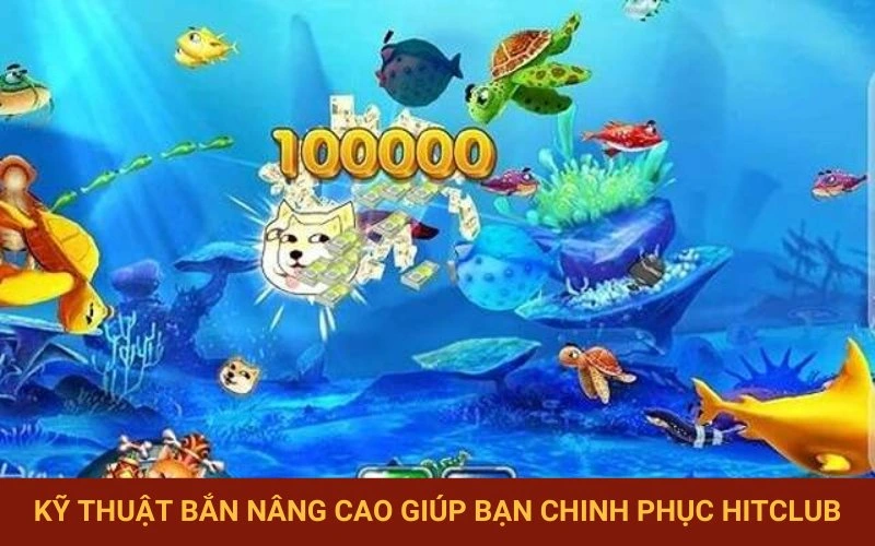 Các chiến thuật săn cá chuyên nghiệp