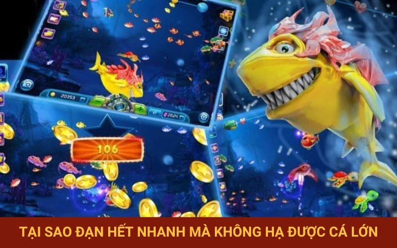 Lý do bắn cá lớn không hiệu quả